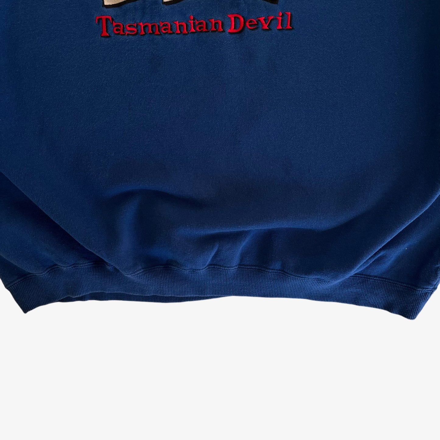 Vintage 90s Warner Bros 1996 Looney Tunes Tasmanian Devil Taz Blue Crewneck Sweatshirt Hem - Casspios Dream