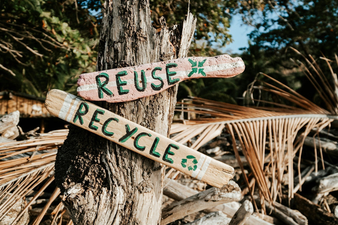 Sustainable Fashion - Why Shopping Vintage Is the Future - Casspios Dream