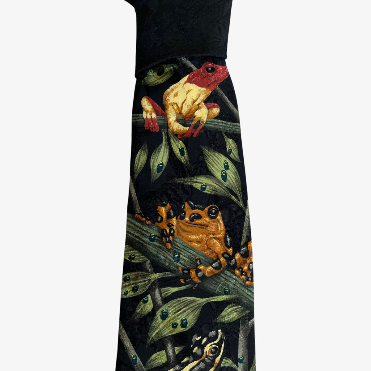 Vintage 90s Endangered Species 1996 Marc Dennis Frog Rainforest Print Silk Tie Colourful - Casspios Dream