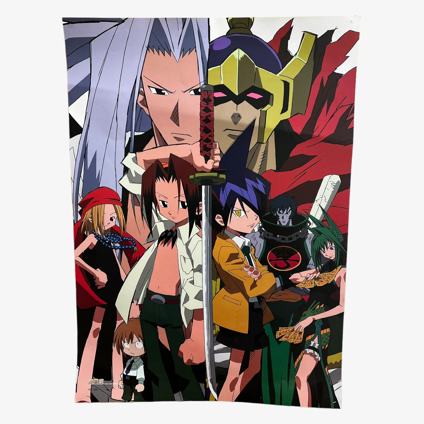 Vintage Y2K Hiroyuki Takei 2001 Shaman King Anime Poster - Casspios Dream