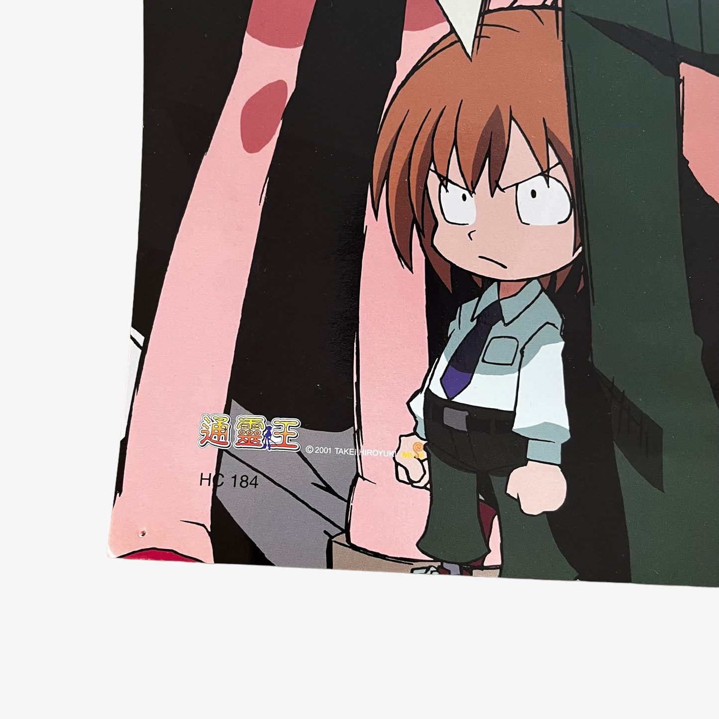 Vintage Y2K Hiroyuki Takei 2001 Shaman King Anime Poster Logo - Casspios Dream