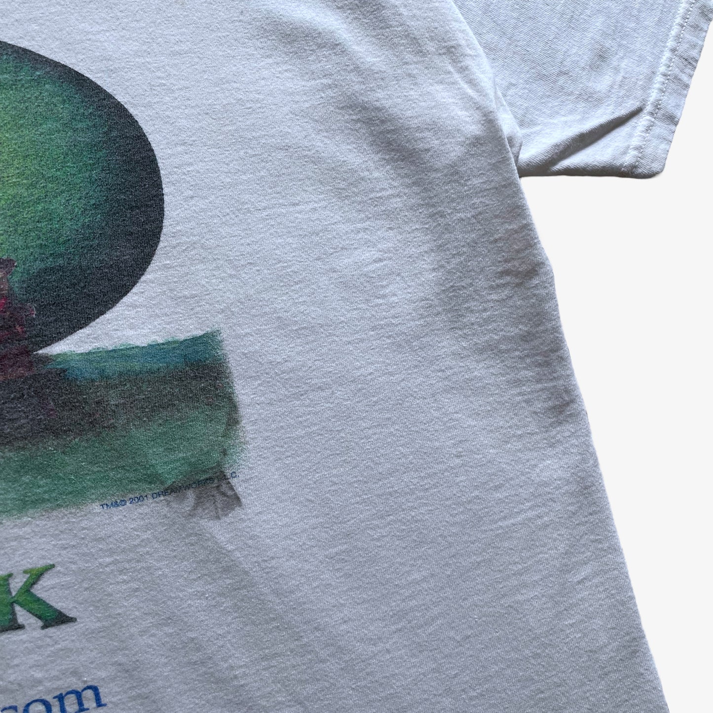 Vintage Y2K Mens Fruit Of The Loom Lofteez Shrek 2001 Dreamworks Film Promotional Double Sided Print T-Shirt Date - Casspios Dream