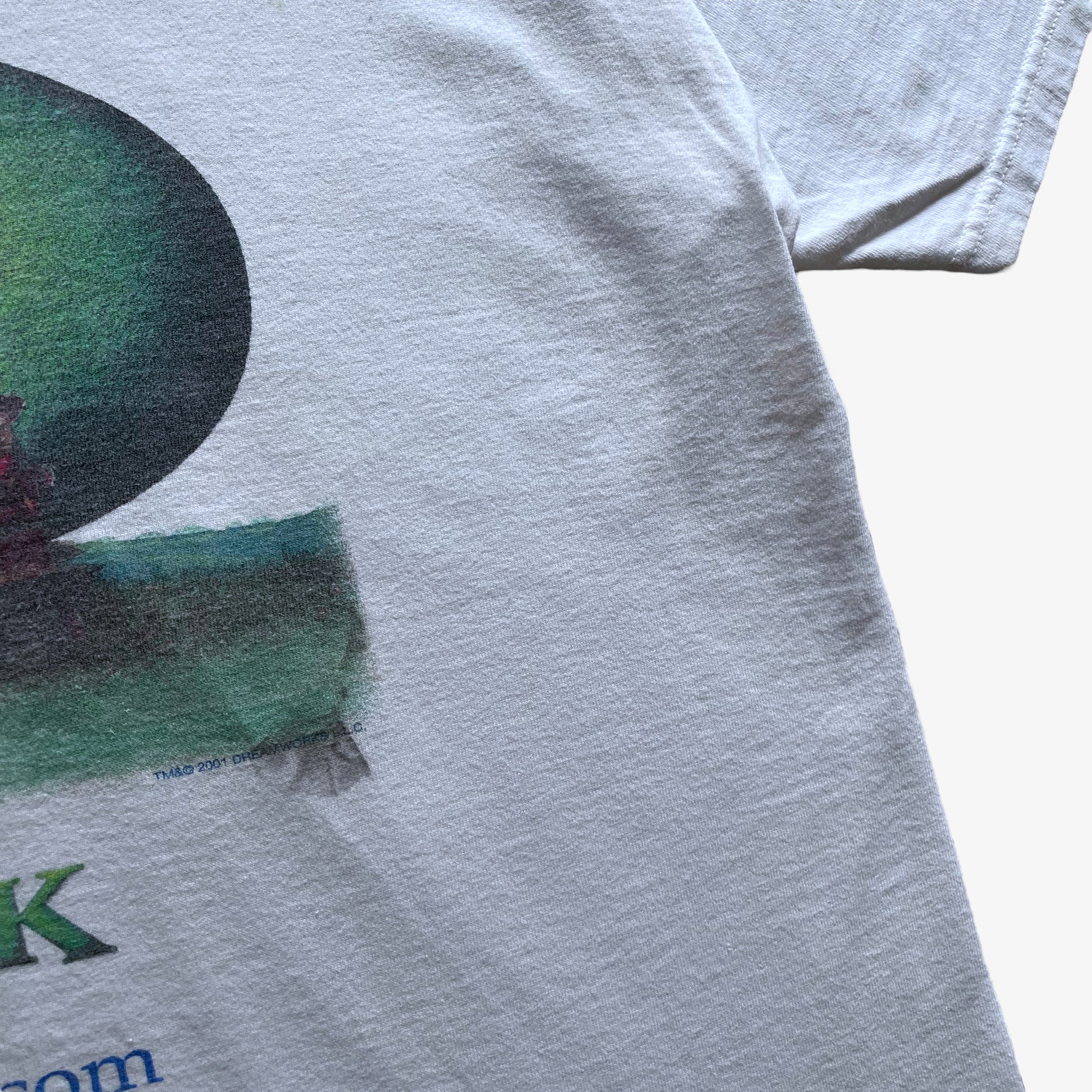 Vintage Y2K Mens Fruit Of The Loom Lofteez Shrek 2001 Dreamworks Film Promotional Double Sided Print T-Shirt Date - Casspios Dream