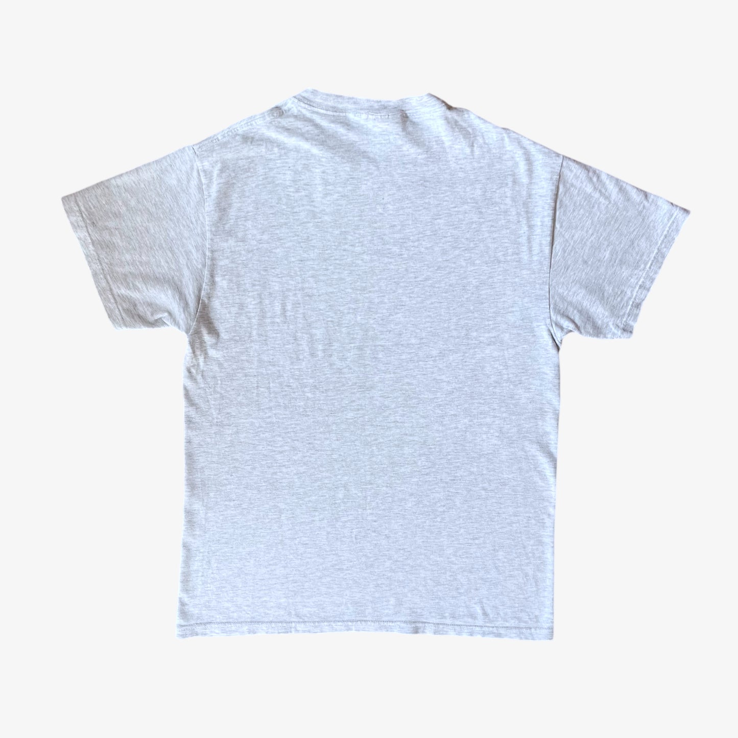 Vintage Y2K Mens Hanes Beefy International Swimming Hall Of Fame Print T-Shirt Back - Casspios Dream