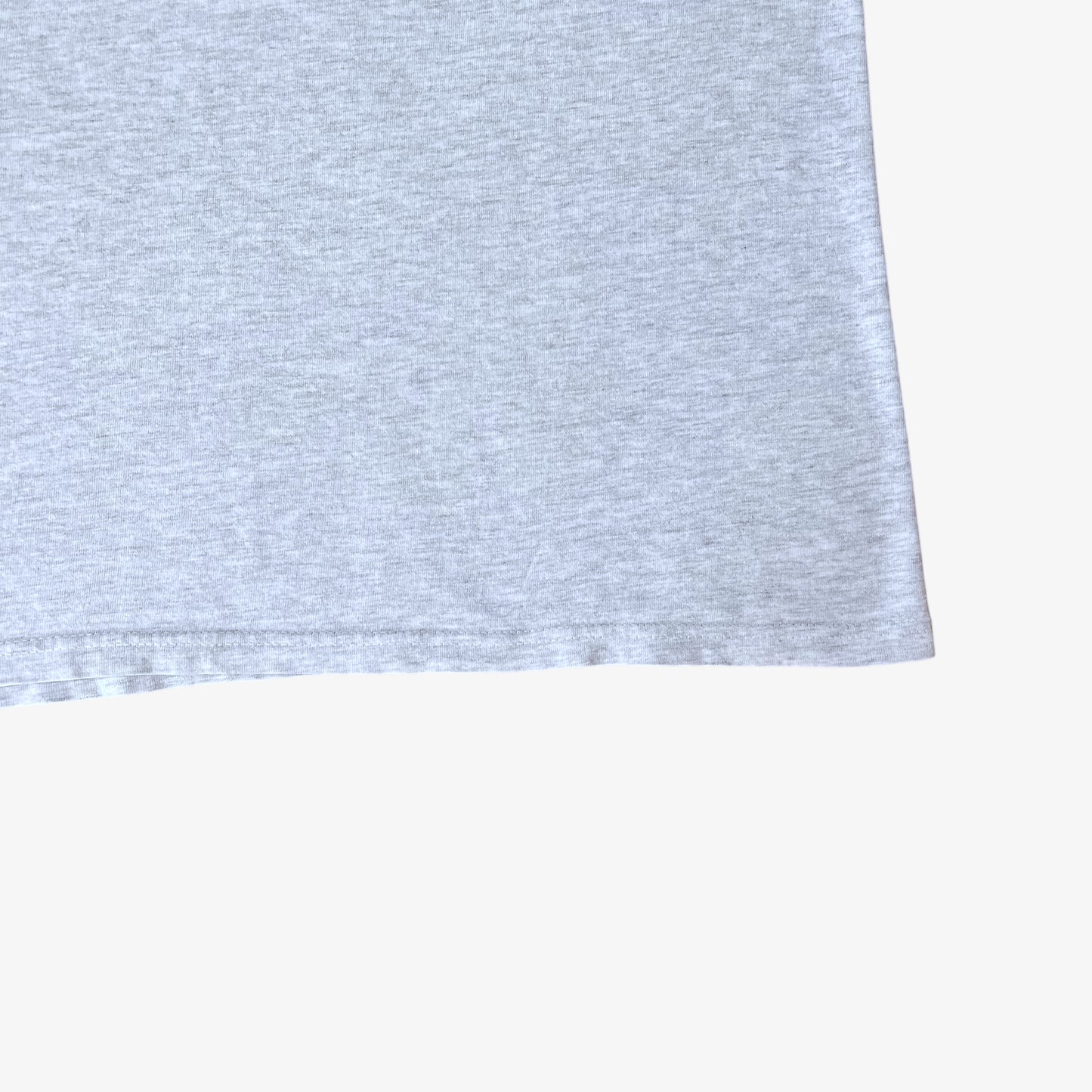 Vintage Y2K Mens Hanes Beefy International Swimming Hall Of Fame Print T-Shirt Hem - Casspios Dream