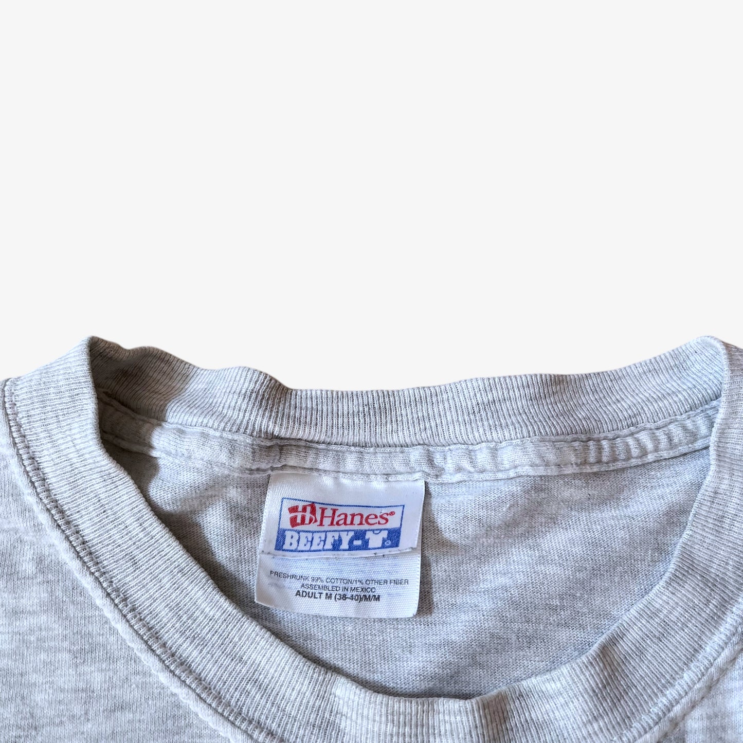 Vintage Y2K Mens Hanes Beefy International Swimming Hall Of Fame Print T-Shirt Label - Casspios Dream