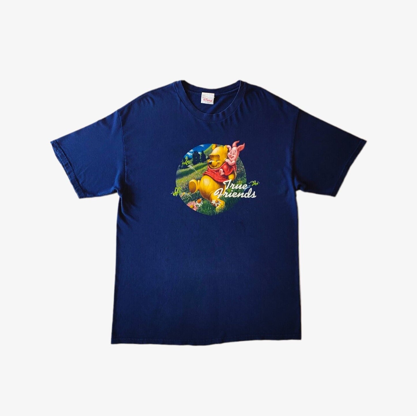 A navy Disney Winnie The Pooh True Friends t-shirt with a colourful front print of characters from the movie.