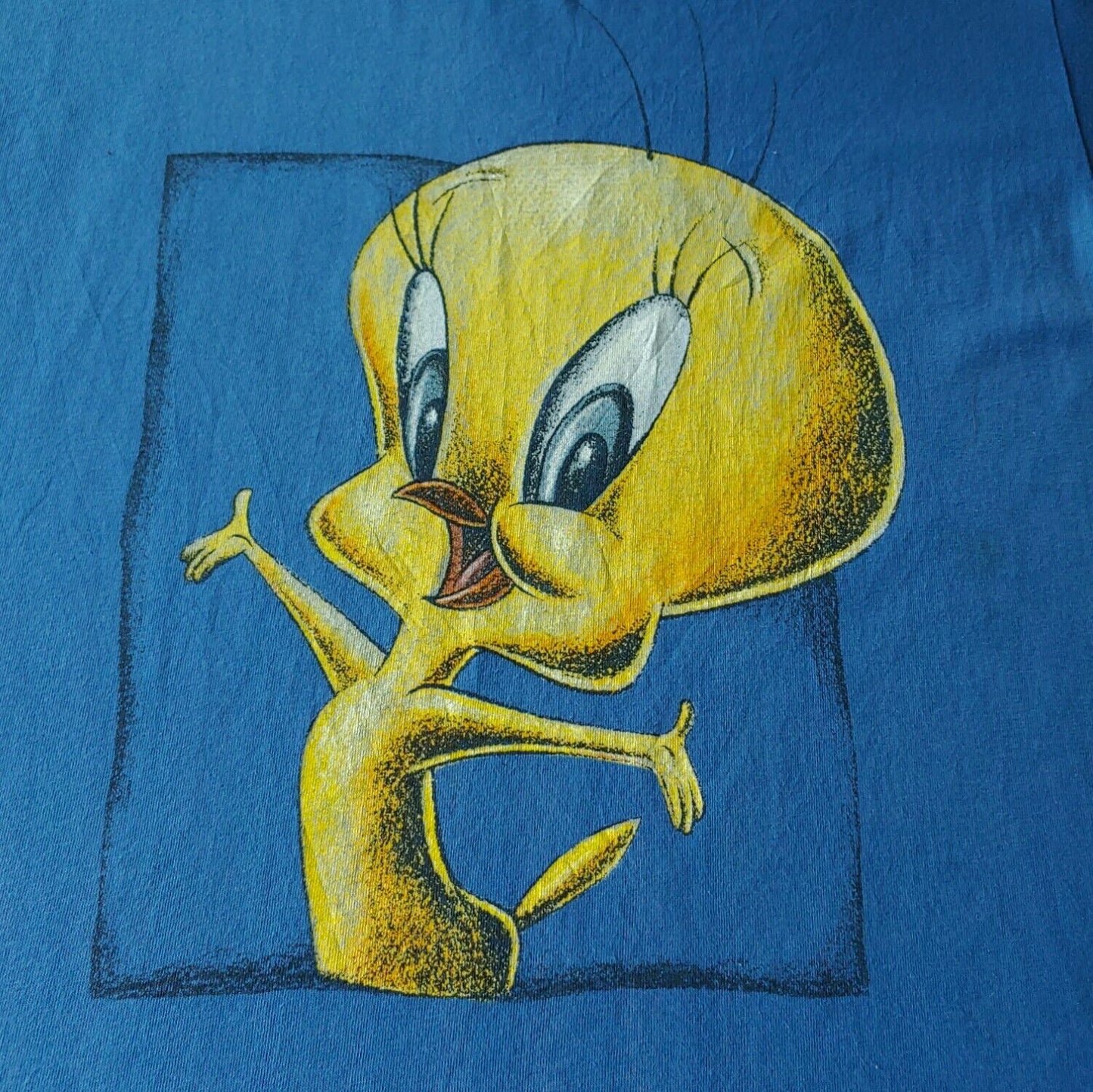 Vintage 1991 Looney Tunes Tweety Large Graphic Print Top Logo - Casspios Dream