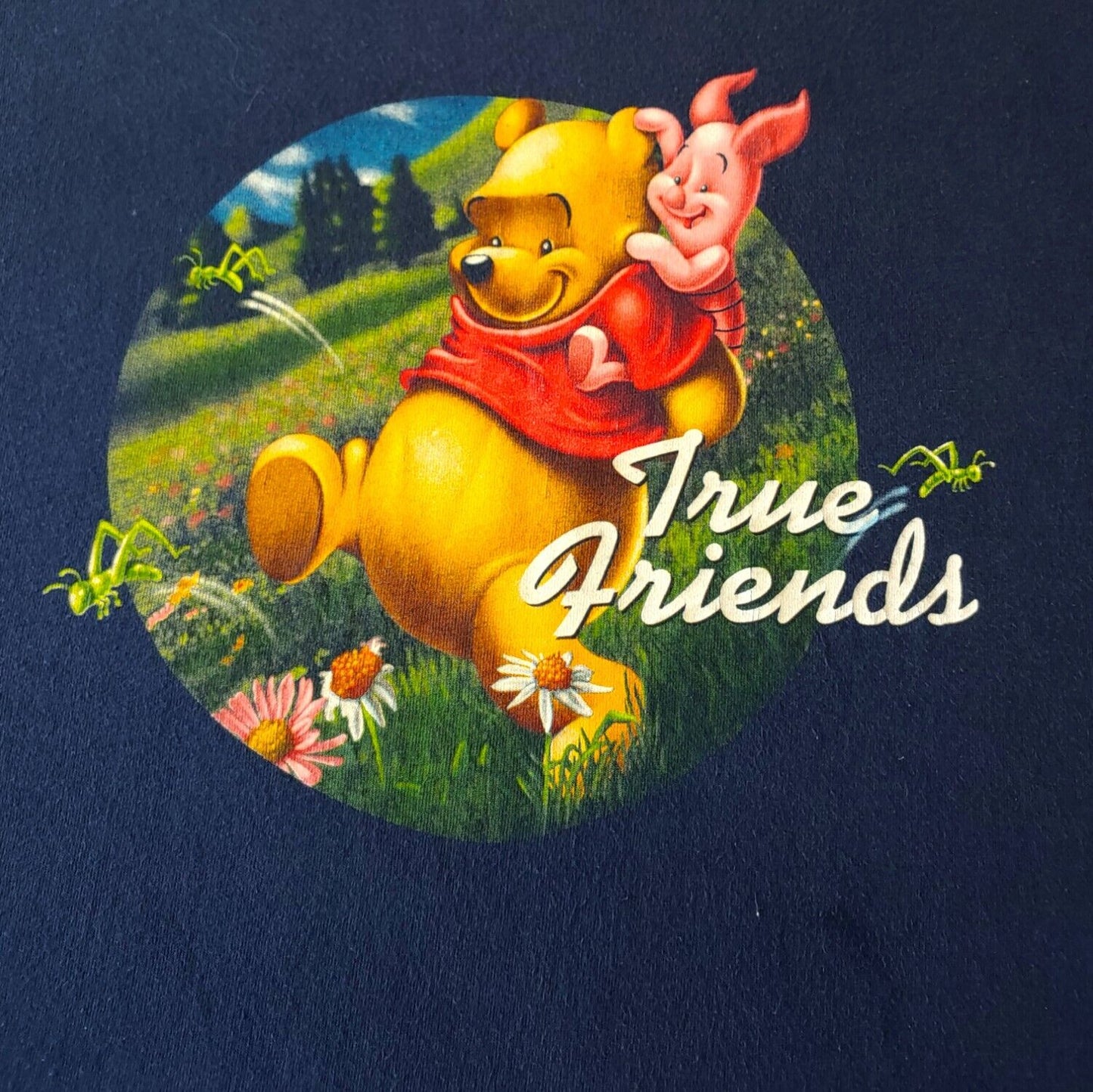 Vintage 90s Disney Winnie The Pooh Friends Graphic Print Top T-Shirt Logo - Casspios Dream
