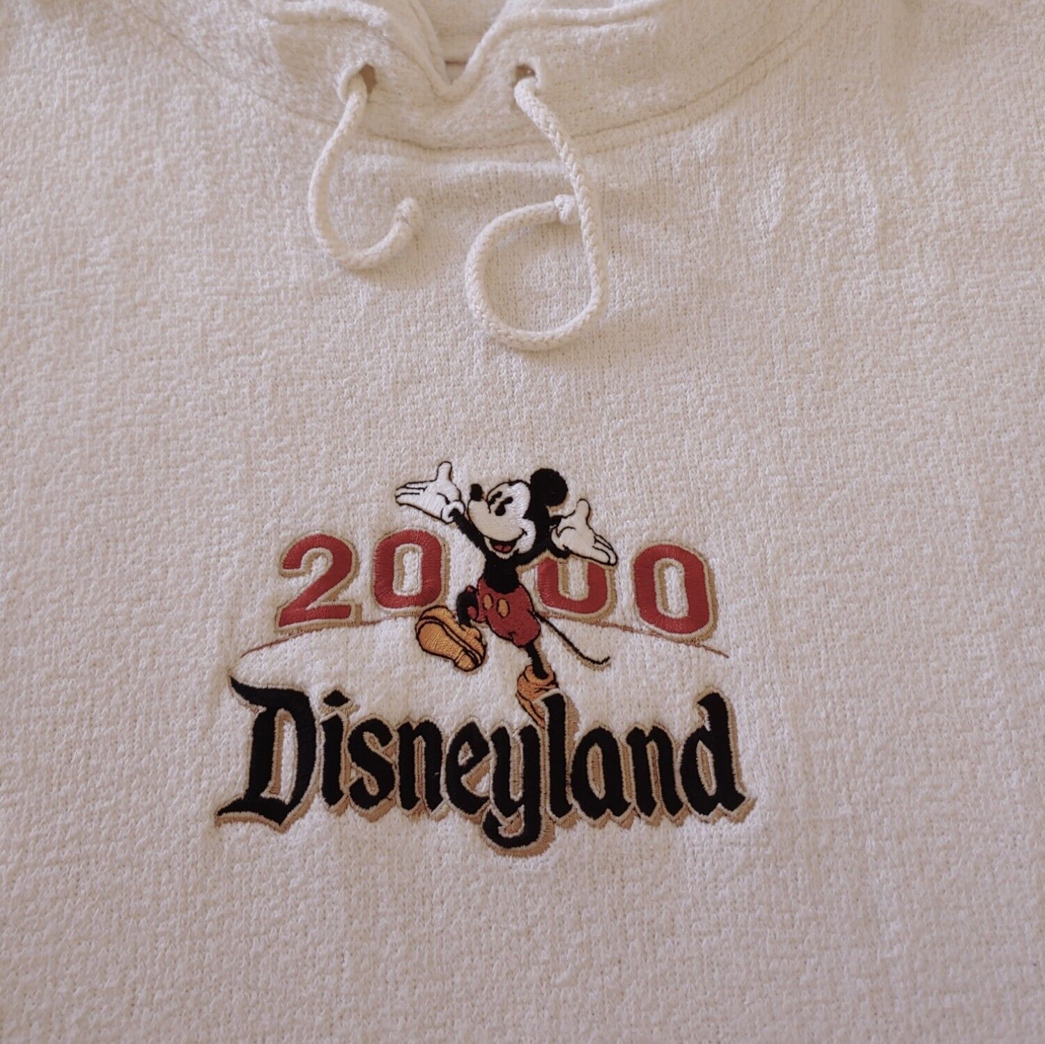 Vintage Y2K Disney Mickey Mouse 2000 Fleece Logo - Casspios Dream