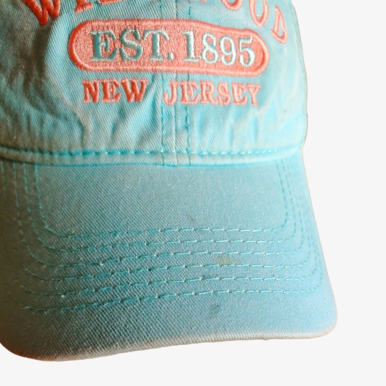 Vintage Y2K Wildwood New Jersey Blue & Pink Cap Logo Mark - Casspios Dream